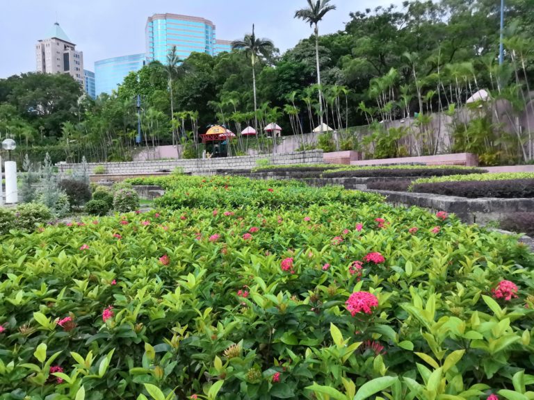 Kowloon Park Hong Kong, A City Park - TravoGlad - Adventure